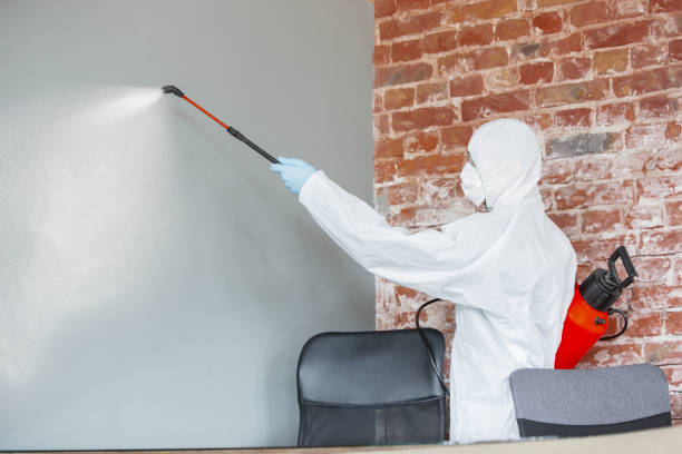 Best Residential Mold Inspection & Testing  in Florham Park, NJ