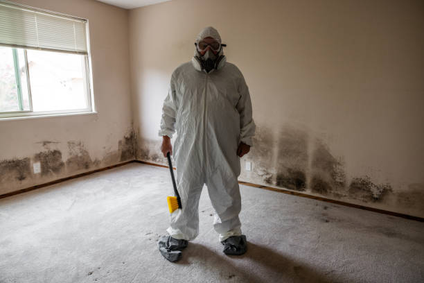 Best Biohazard Mold Removal  in Florham Park, NJ